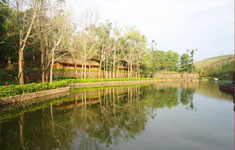 Vagamon Hide Out & Ayurveda Spa Vagamon, Kerala, India