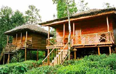 dreams-beach-resort-varkala-kerala-india