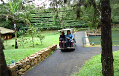 Vagamon Hide Out & Ayurveda Spa Vagamon, Kerala, India