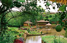 Vagamon Hide Out & Ayurveda Spa Vagamon, Kerala, India