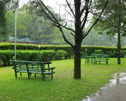 SAJ Vagamon Hideout