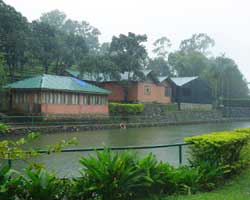 SAJ Vagamon Hideout