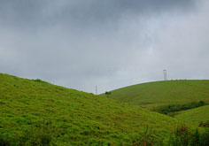 Vagamon Holiday Package