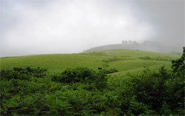 vagamon thekkady tour package