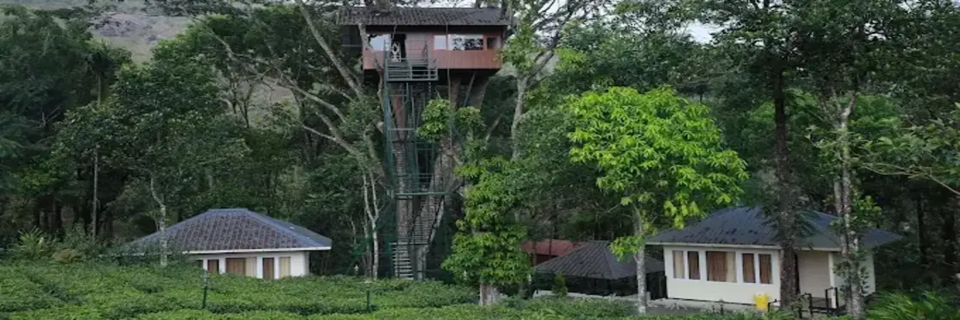 Elevated wooden treehouse cottage built among tall forest trees at Orma Farm Resort Vagamon