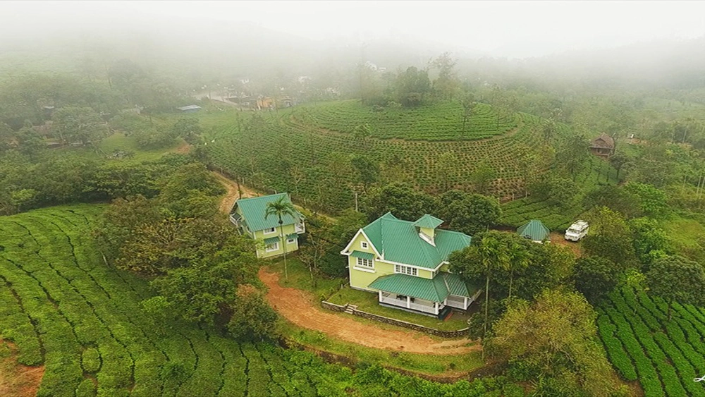 Aerial view of Lavender Plantation Stay cottages surrounded by lush tea gardens in Vagamon