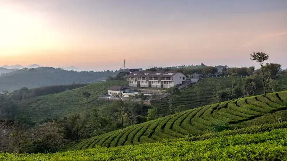 Scenic hilltop view of Elysian Vale Resort nestled amidst green tea plantations in Vagamon