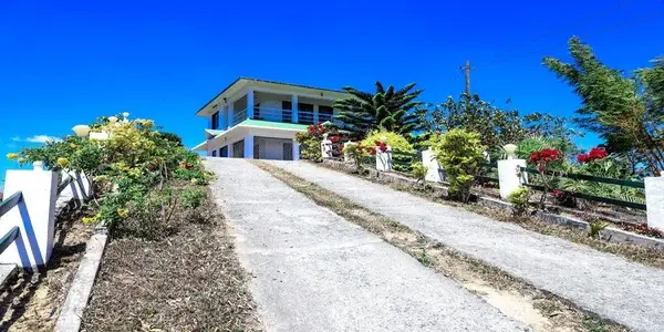 Paved entrance driveway and front garden view of The Nest Homestay Vagamon
