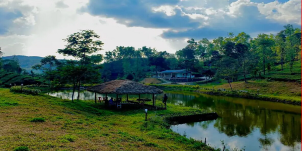 Private artificial lake surrounded by lush green tea gardens and hills at Vagamon Hues