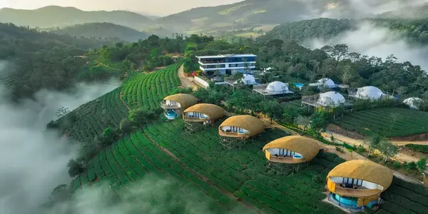 Luxury geodesic glamping domes surrounded by lush tea gardens and morning fog at Monticle Glamps in Vattapathal Vagamon