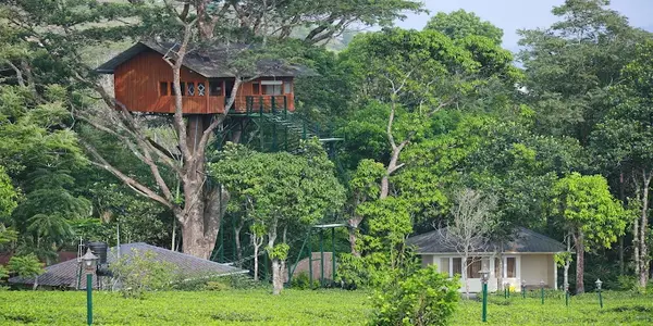 Exterior view of treehouse structure and surrounding green farmstay grounds at Orma Farm Resort Vagamon