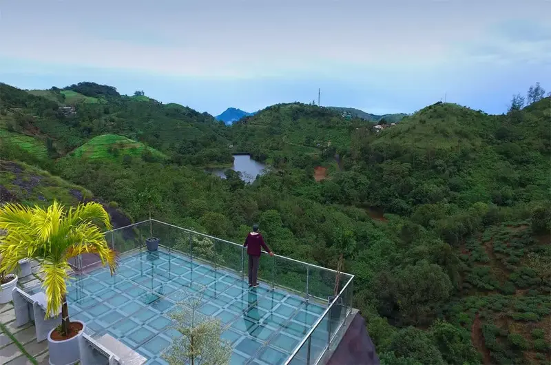 Outdoor infinity swimming pool surrounded by lush green tropical forest at Foggy Knolls Resort