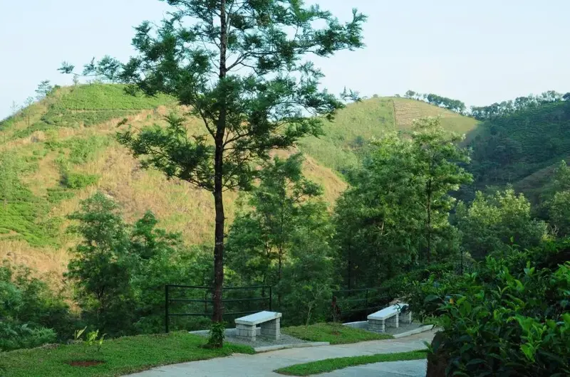 Resort cottages nestled on green hillside slopes surrounded by pine trees at Falcon Crest Resort