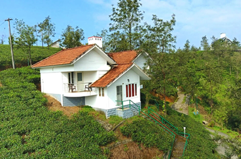 Spacious resort cottage surrounded by manicured green lawns and pine trees at Falcon Crest Resort