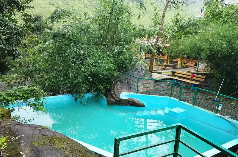 Natural rock outdoor swimming pool surrounded by lush green trees at Vagamon Bamboo Nest Resort