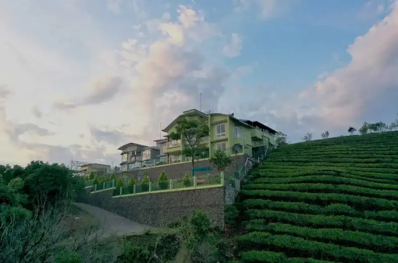 Panoramic hilltop view of Vaga Mist Resort surrounded by lush green tea plantations in Vagamon
