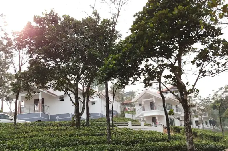 Pathway through the lush tea plantation leading toward the Heaven Valley Resorts building in Vagamon.