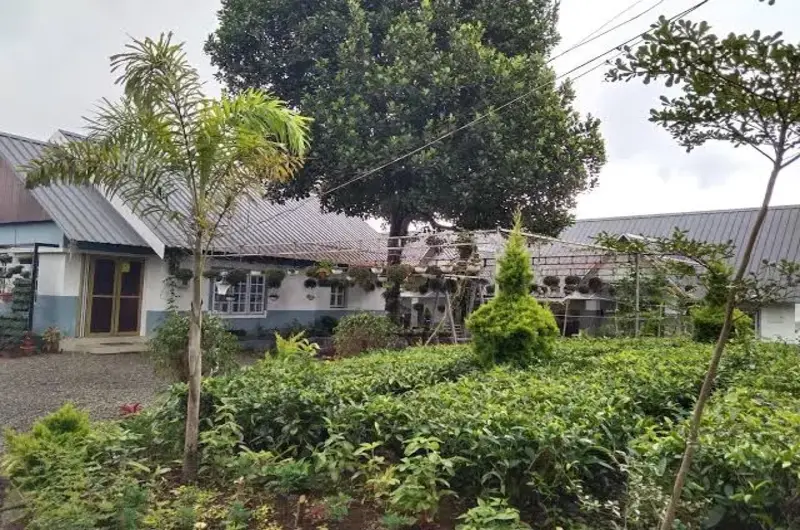 Exterior view of holiday villa cottage surrounded by manicured green lawn and tropical trees at Eagle Rock Holiday Villas Peerumade