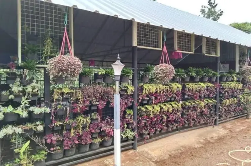 Resort walkway featuring hanging potted flowers and decorative lamp posts along cottage facade