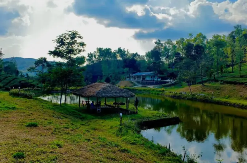 Scenic private artificial lake surrounded by tea plantations and green hills at Vagamon Hues