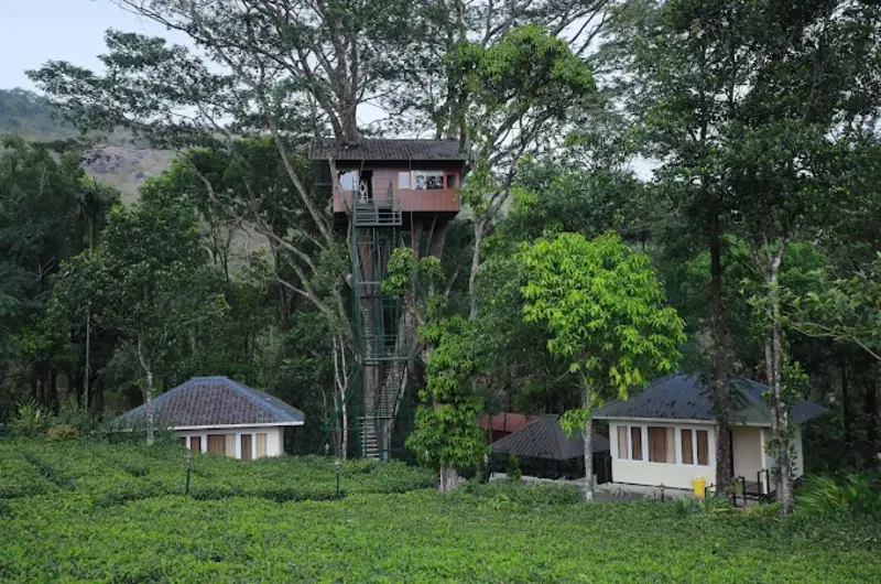 Elevated wooden treehouse cottage structure surrounded by green lawns at Orma Farm Resorts Vagamon
