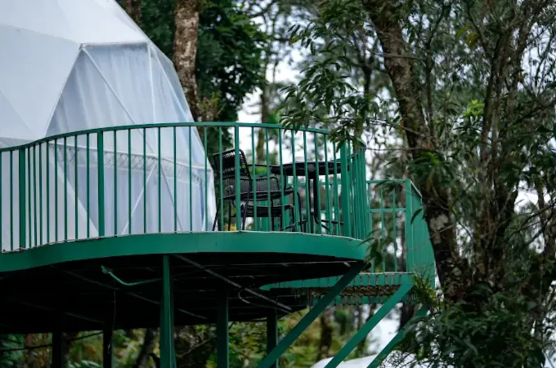 Geodesic glamping dome with green balcony railing surrounded by trees at Willmount Geodesic Domes Vagamon