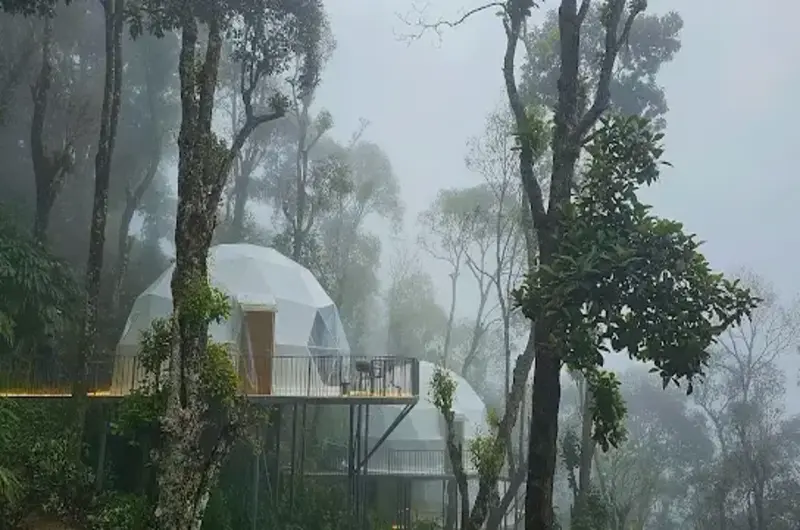 White geodesic dome stay on elevated wooden deck surrounded by misty forest at Willmount Geodesic Domes Vagamon