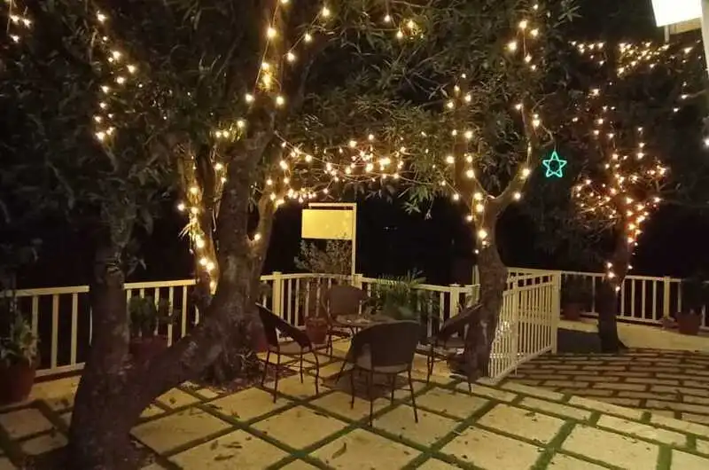 Cottage exterior adorned with fairy lights on surrounding trees at night at Willow House Cottages