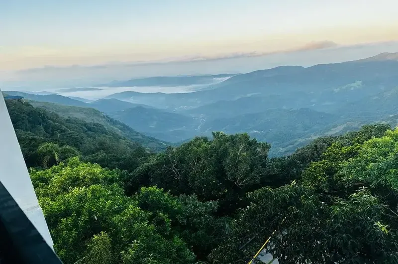 Panoramic view of misty green hills and dense forest landscape at Vagamon Exotica