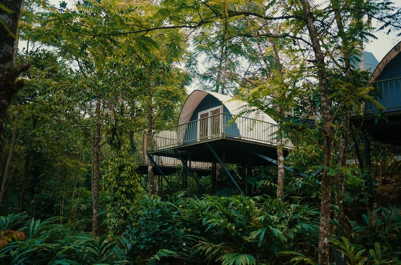 Unique elevated dome stay nestled among lush green trees at Santuario Resort Vagamon