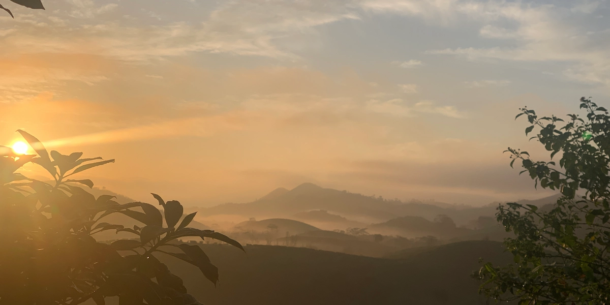 Scenic sunrise view over mist covered green mountains in Vagamon Kerala