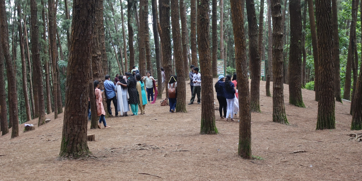 Tourists walking along a scenic forested path surrounded by tall pine trees in Vagamon