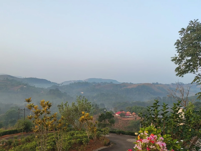 Mist covering green tea gardens and mountain slopes in Vagamon high ranges Kerala