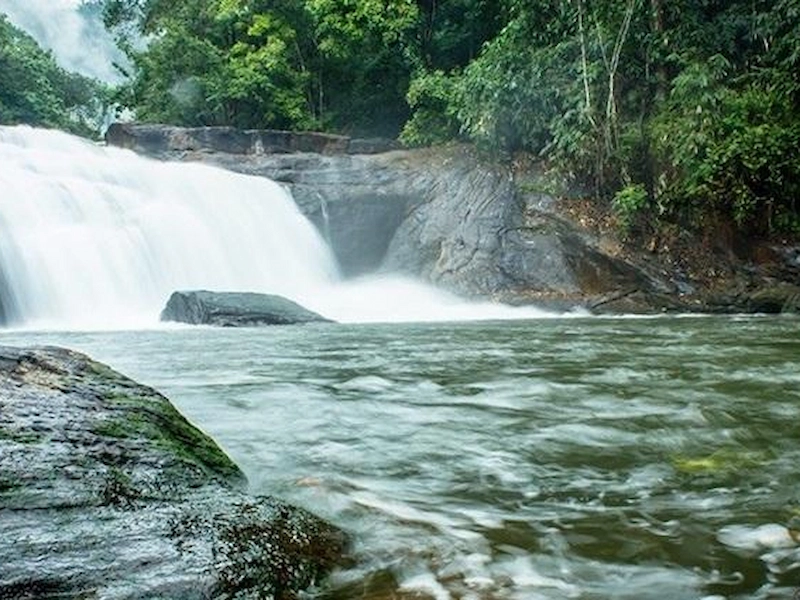 Fast flowing stream and river rocks in green forest during monsoon in Vagamon