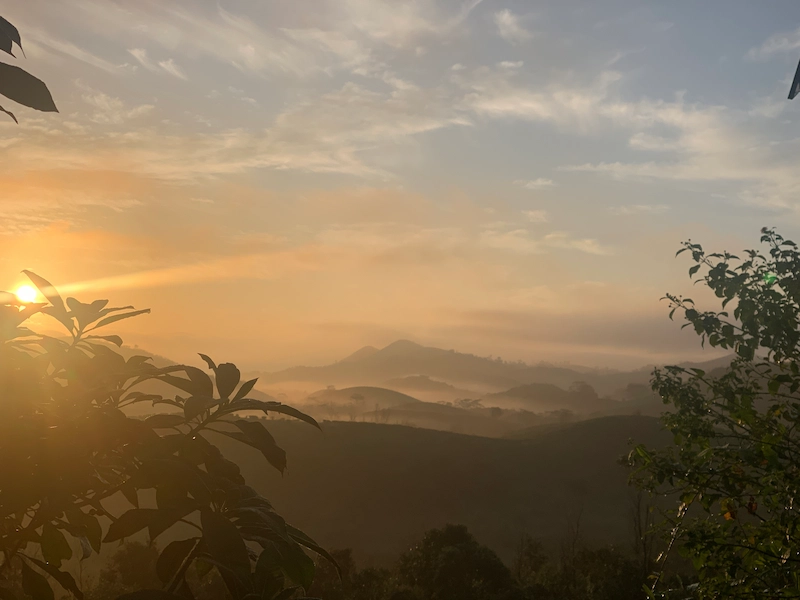 Morning sunrise light casting over lush misty hills in Vagamon Kerala