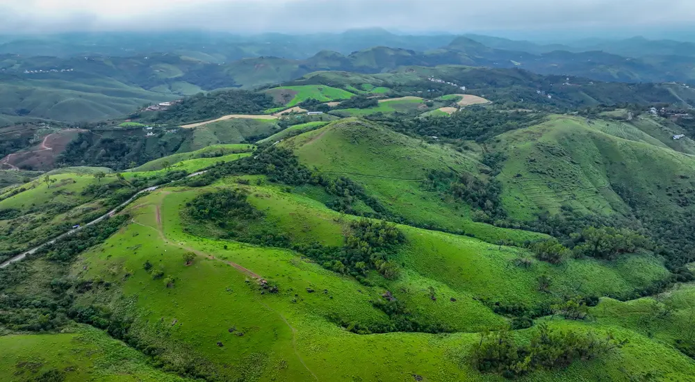 Aerial view of lush green rolling hill slopes in Vagamon, Kerala
