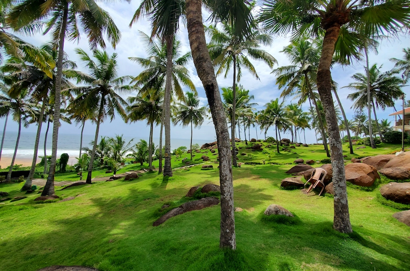 Tropical coconut palm tree coastline along the beach in Kovalam Kerala