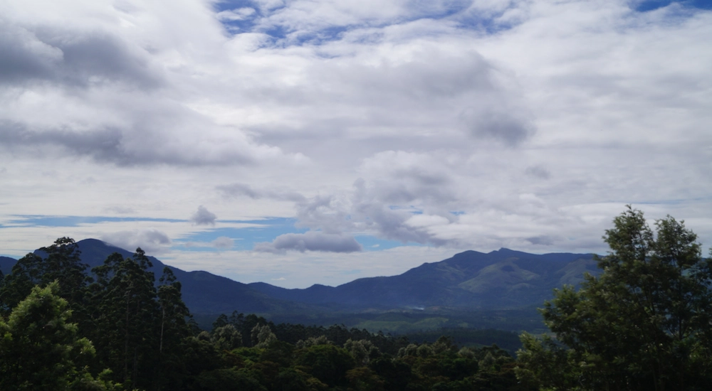 Misty green hill station mountain landscape in Vagamon