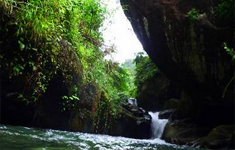 Vanilla County,Vagamaon, Kerala, India